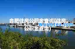 肥住房公积金查询(住房公积金查询)