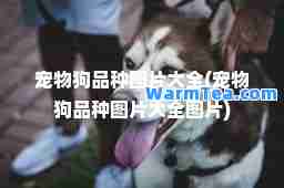 宠物狗品种图片大全(宠物狗品种图片大全图片)