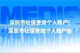 深圳市社保查询个人账户(深圳市社保查询个人账户金额)