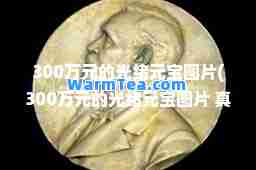 300万元的光绪元宝图片(300万元的光绪元宝图片 真假)