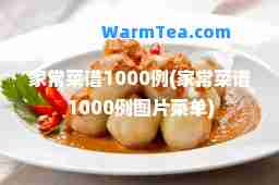 家常菜谱1000例(家常菜谱1000例图片菜单)