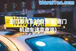 厦门市汽车违章查询(厦门机动车违章查询)