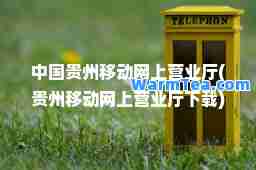 中国贵州移动网上营业厅(贵州移动网上营业厅下载)