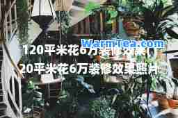 120平米花6万装修效果(120平米花6万装修效果照片)