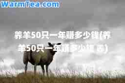 养羊50只一年赚多少钱(养羊50只一年赚多少钱 养)