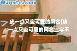 皮一点又蛮可爱的网名(皮一点又蛮可爱的网名二字不重复)
