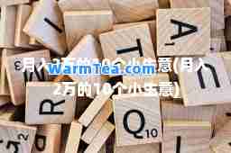 月入2万的10个小生意(月入2万的10个小生意)