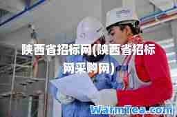 陕西省招标网(陕西省招标网采购网)