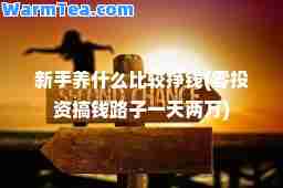新手养什么比较挣钱(零投资搞钱路子两万)