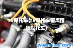 r9摩托车(r9摩托车猎鹰踏板摩托车)