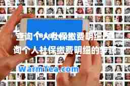 查询个人社保缴费明细(查询个人社保缴费明细的步骤)