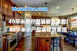 40平米小户型装修效果图(40平米小户型装修效果图 一室一厅)