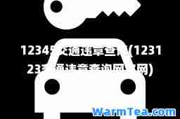 12345交通违章查询(123123交通违章查询网官网)