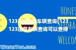 123123违章车辆查询(123123违章车辆查询可以查得到吗)
