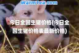 今日全国生猪价格(今日全国生猪价格表价格)
