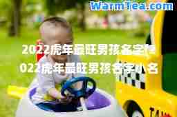 2022虎年最旺男孩名字(2022虎年最旺男孩名字小名)
