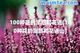 100种花的寓意和花语(100种花的寓意和花语山)