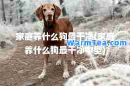 家庭养什么狗最干净(家庭养什么狗最干净中型)
