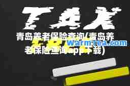 青岛养老保险查询(青岛养老保险查询app下载)