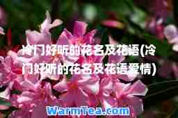 冷门好听的花名及花语(冷门好听的花名及花语爱情)