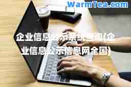 企业信息公示系统查询(企业信息公示信息网全国)