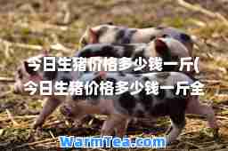 今日生猪价格多少钱一斤(今日生猪价格多少钱一斤全国)