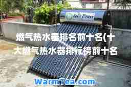 燃气热水器排名前十名(十大燃气热水器排行榜前十名)