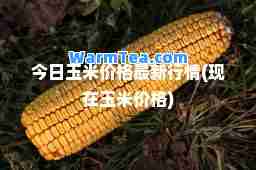 今日玉米价格行情(现在玉米价格)