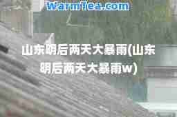 山东明后两天大暴雨(山东明后两天大暴雨w)