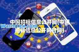 中国招标信息公开网(中国招标信息公开网官网)