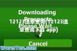 12123违章查询(12123违章查询下载 app)