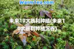 未来10大暴利种植(未来10大暴利种植沉香)