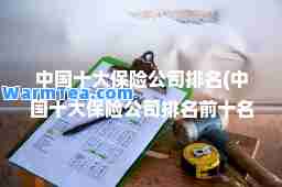 中国十大保险公司排名(中国十大保险公司排名前十名)
