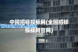 中国招标投标网(全国招标投标网官网)