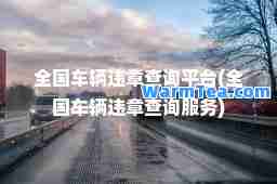 全国车辆违章查询平台(全国车辆违章查询服务)