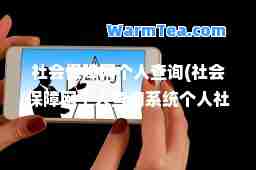社会保障网个人查询(社会保障网个人查询系统个人社保软件平台)
