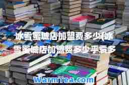 冰雪蜜城店加盟费多少(冰雪蜜城店加盟费多少乎袁多少钱一块)