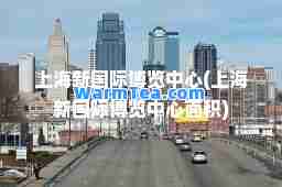 上海新博览中心(上海新博览中心面积)