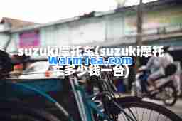suzuki摩托车(suzuki摩托车多少钱一台)