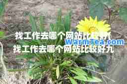 找工作去哪个网站比较好(找工作去哪个网站比较好九里香盆栽花适在..养殖吗三)