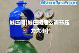 减压阀(减压阀怎么调节压力大小)