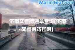 济南交警网违章查询(济南交警网站官网)