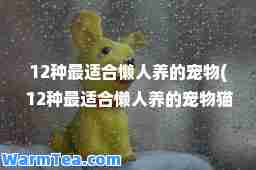 12种最适懒人养的宠物(12种最适懒人养的宠物猫)