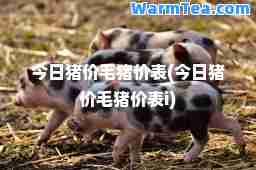 今日猪价毛猪价表(今日猪价毛猪价表i)
