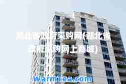 湖北省政府采购网(湖北省政府采购网上商城)