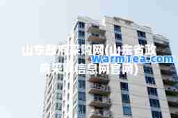 山东政府采购网(山东省政府采购信息网官网)