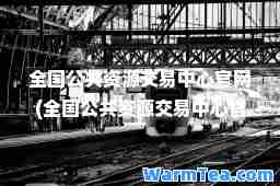 全国公共资源交易中心官网(全国公共资源交易中心官网海南)