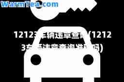 12123车辆违章查询(12123车辆违章查询准确吗)