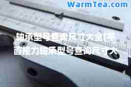 轴承型号查询尺寸大全(平面推力轴承型号查询尺寸大全)