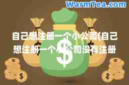 自己想注册一个小公司(自己想注册一个小公司没有注册资金)